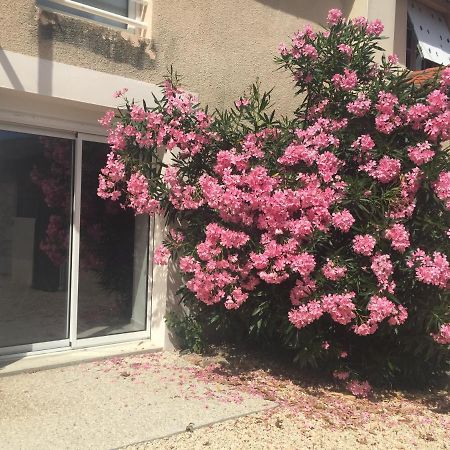 Gite De La Foye - Le Magnolia Combrand Exterior photo
